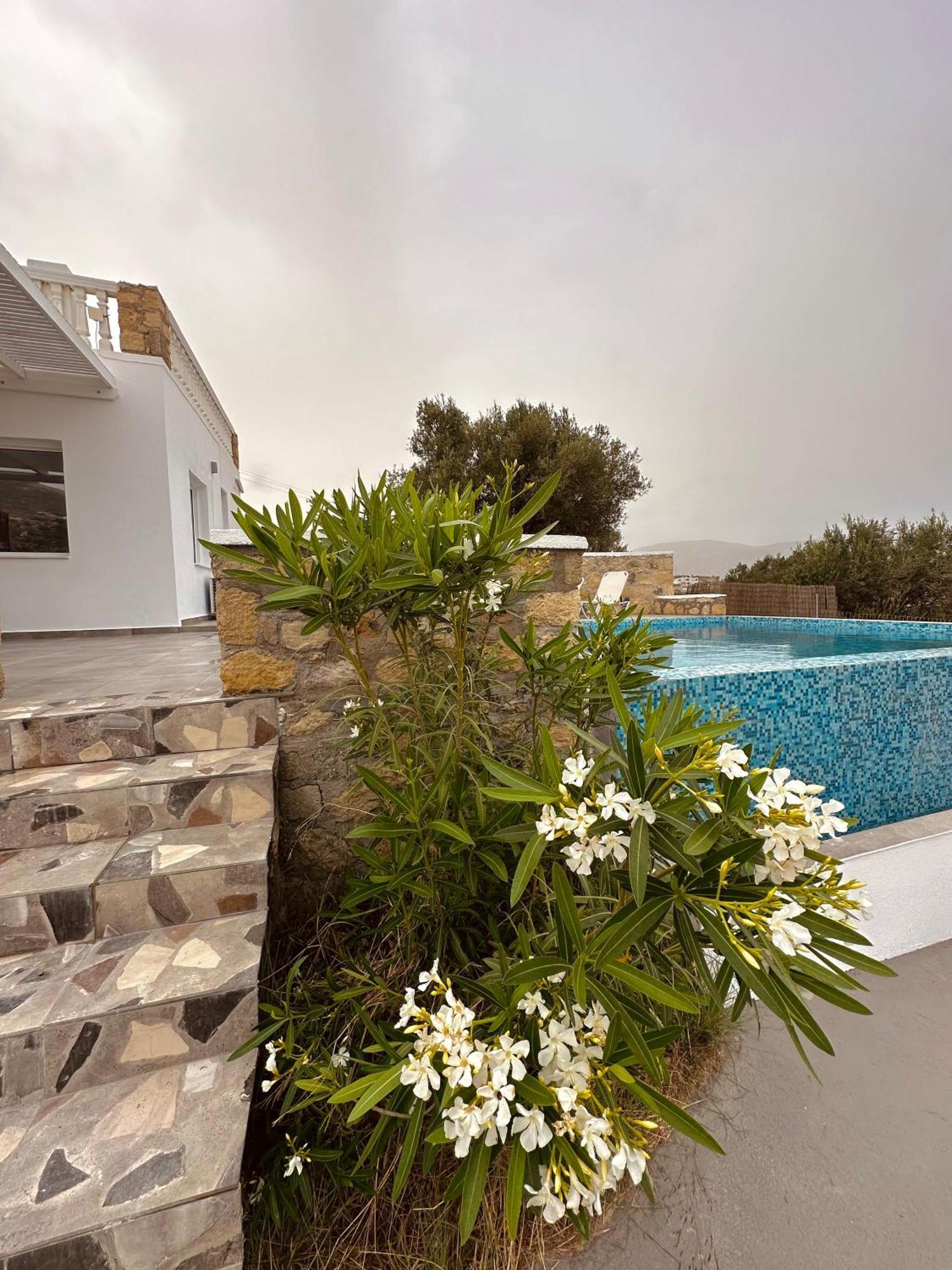 Eleon Luxury Villa Karpathos Exterior photo